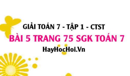 Giải bài 5 trang 75 Toán 7 Tập 1 SGK Chân trời sáng tạo